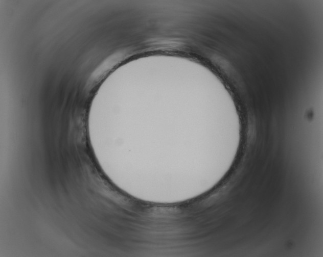 X0000115781354200912241802