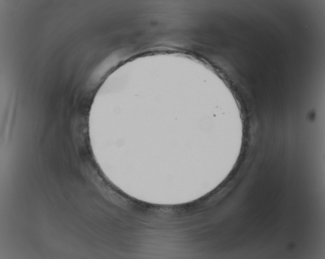 X0000115781355200912241802