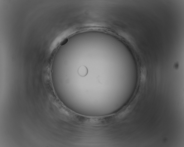 X0000115781357200912241802