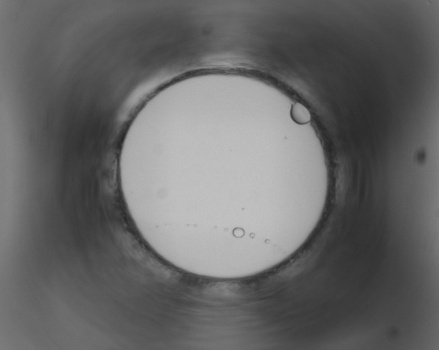 X0000115781358200912241802