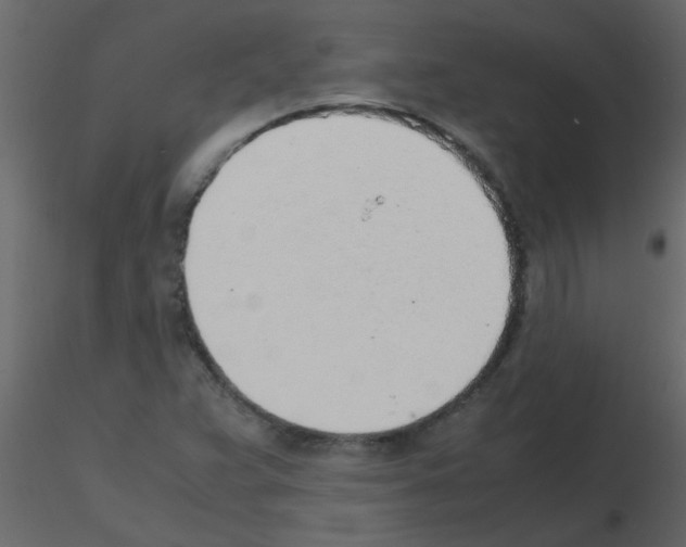 X0000115781359200912241802