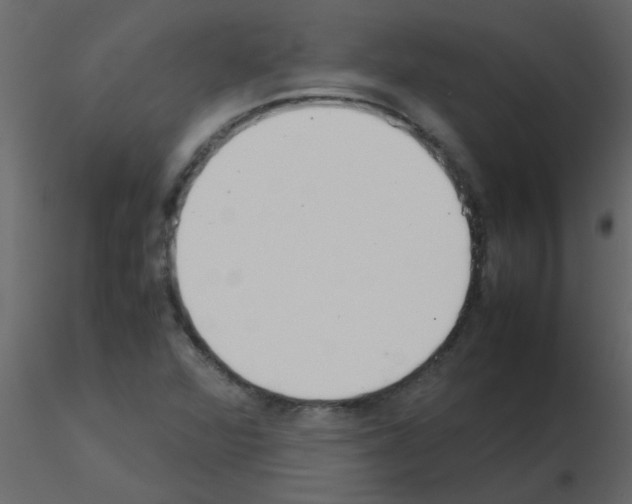 X0000115781360200912241802