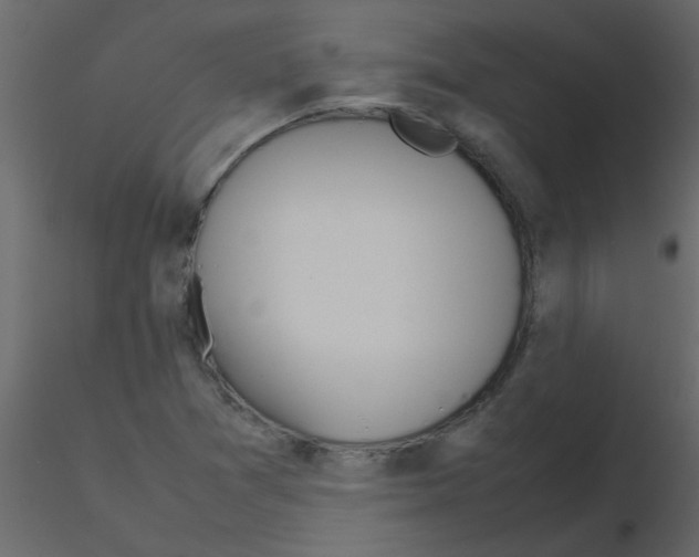 X0000115781361200912241802