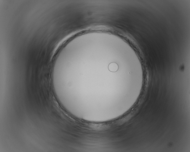 X0000115781364200912241802