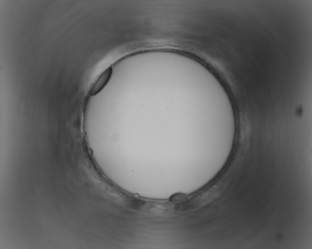 X0000115781365200912241802