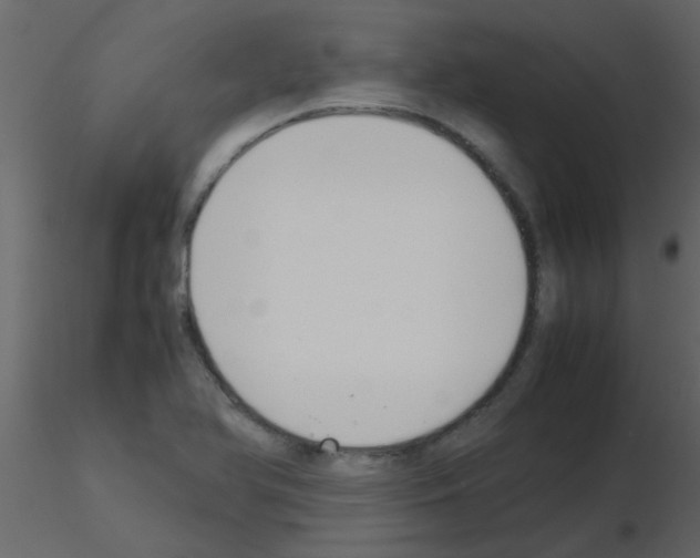 X0000115781366200912241802