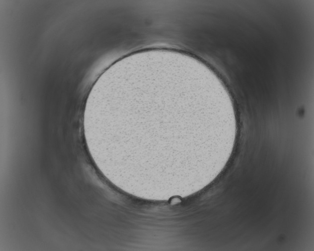 X0000115781367200912241802