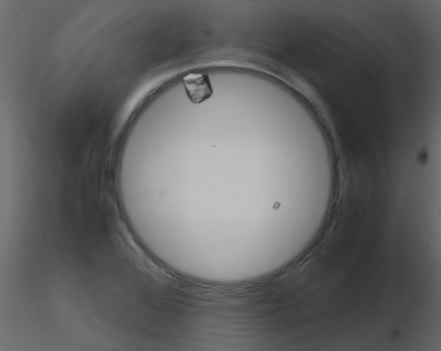 X0000115781368200912241802