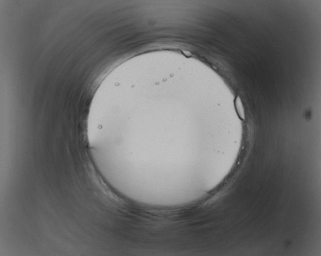 X0000115781369200912241802