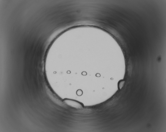 X0000115781372200912241802