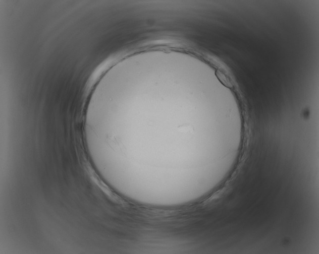 X0000115781373200912241802