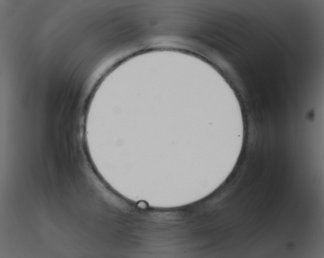 X0000115781376200912241802