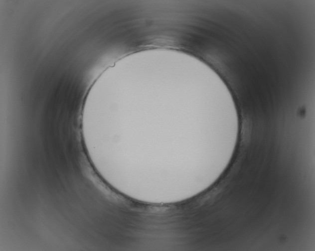 X0000115781378200912241802