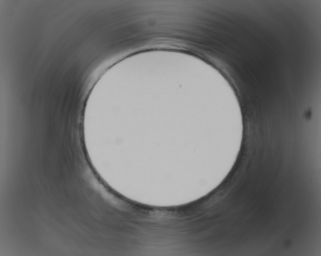 X0000115781379200912241802