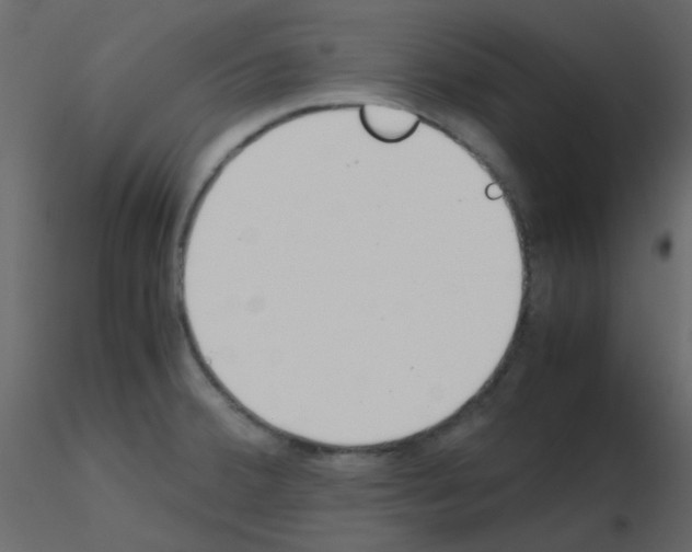 X0000115781380200912241802