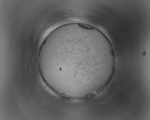 X0000115781381200912241802