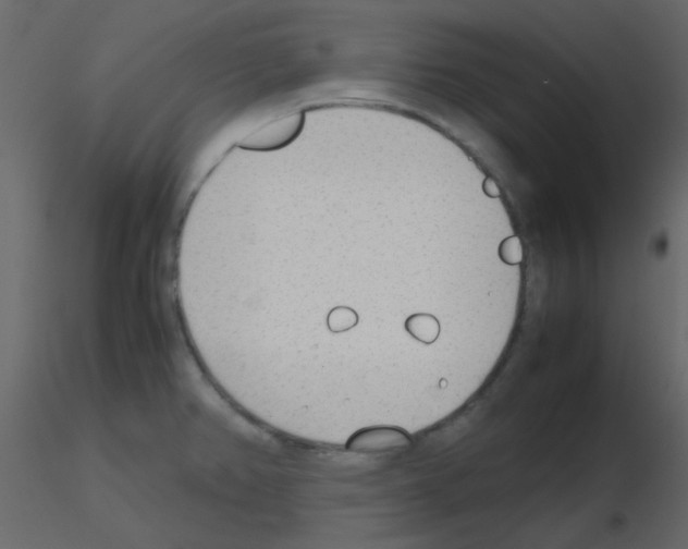 X0000115781382200912241802