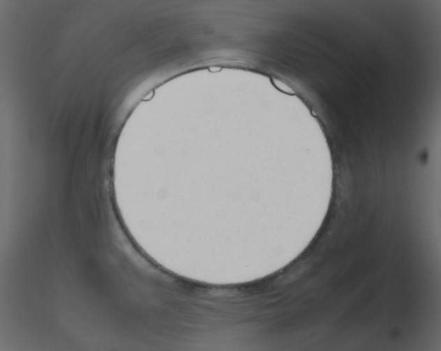 X0000115781383200912241802