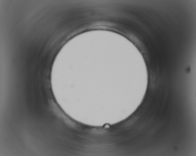 X0000115781384200912241801