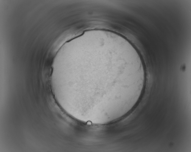 X0000115781385200912241801