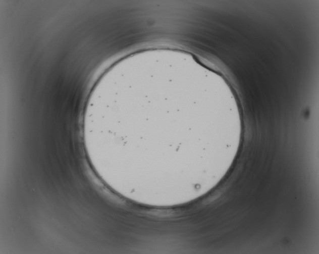 X0000115781388200912241801