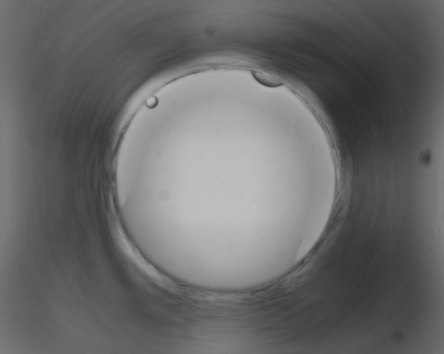 X0000115781389200912241801