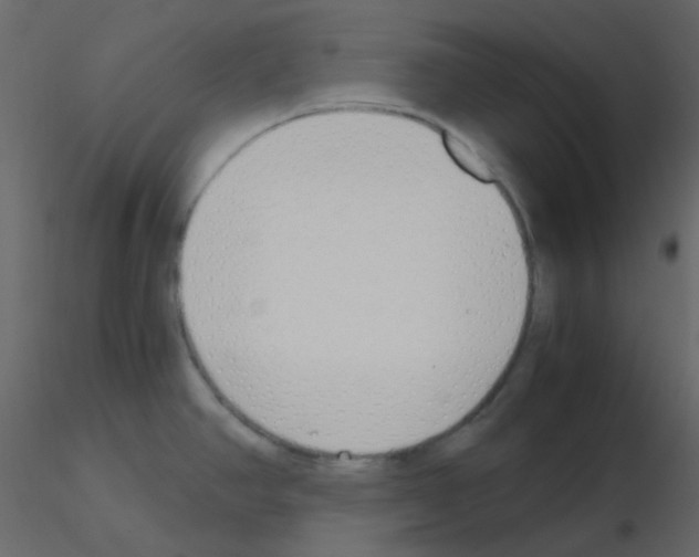 X0000115781390200912241801