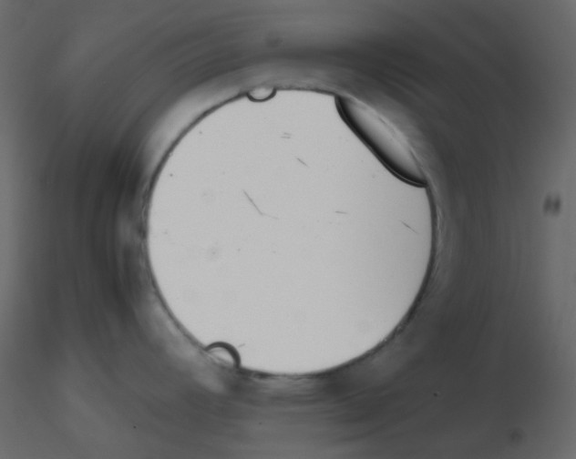 X0000115781392200912241801