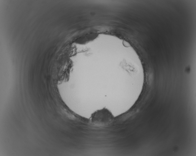 X0000115781393200912241801