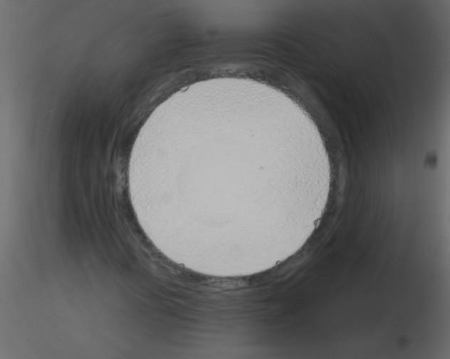 X0000115781394200912241801