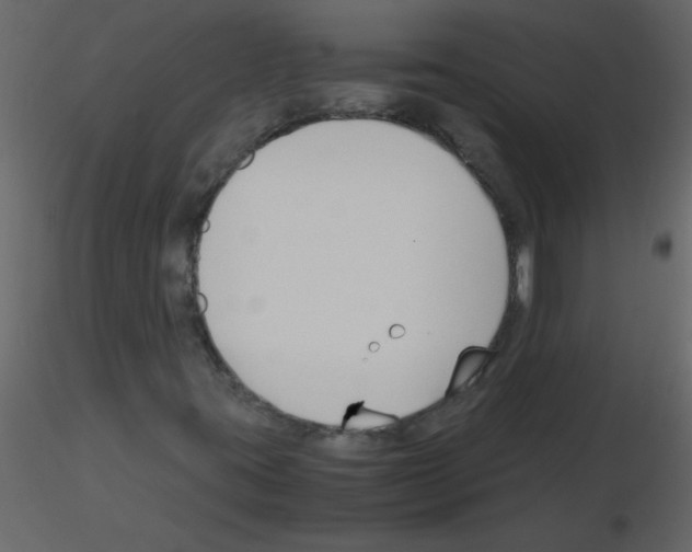 X0000115781395200912241801