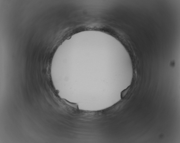 X0000115781396200912241801