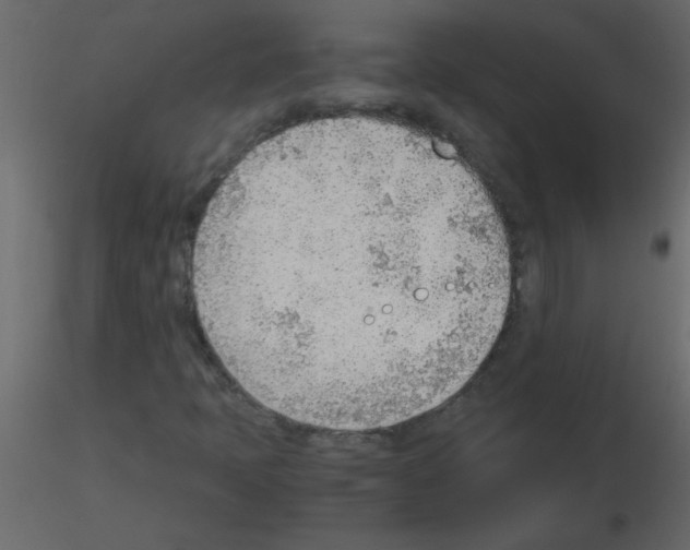 X0000115781397200912241801