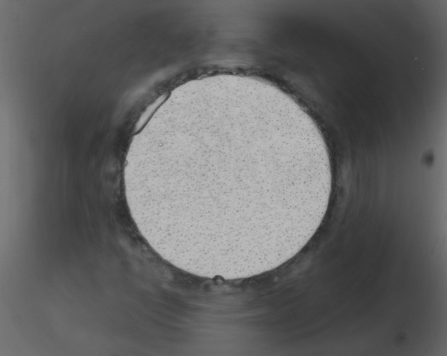 X0000115781398200912241801