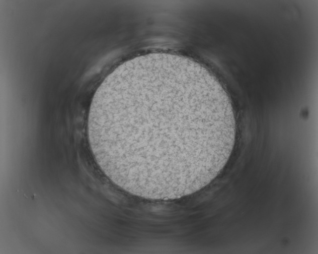 X0000115781399200912241801