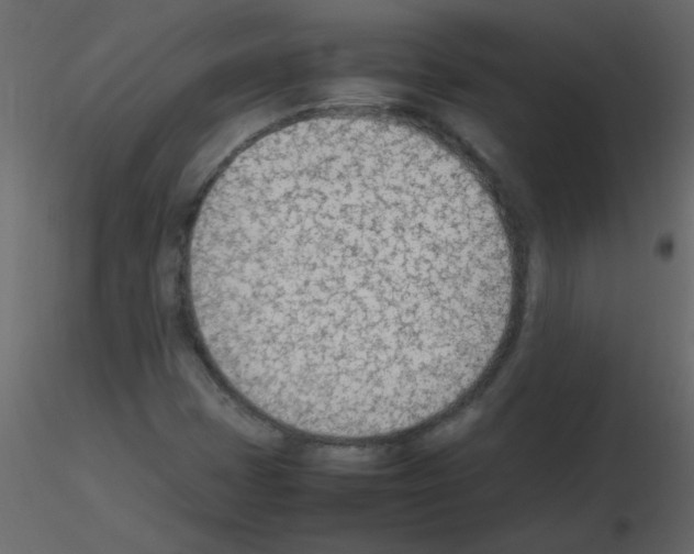 X0000115781401200912241801