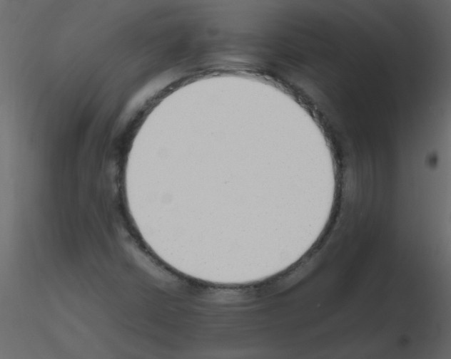 X0000115781402200912241801