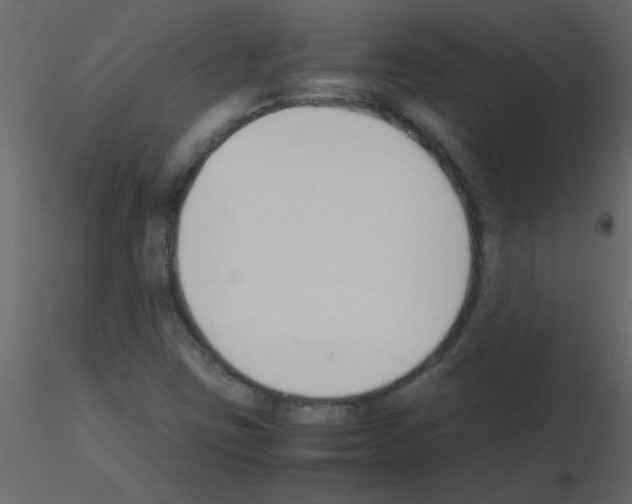 X0000115781403200912241801