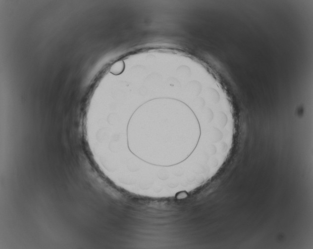 X0000115781408200912241801