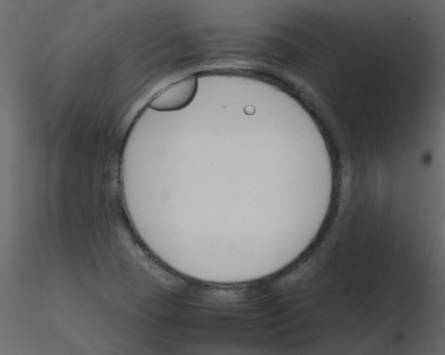 X0000115781409200912241801