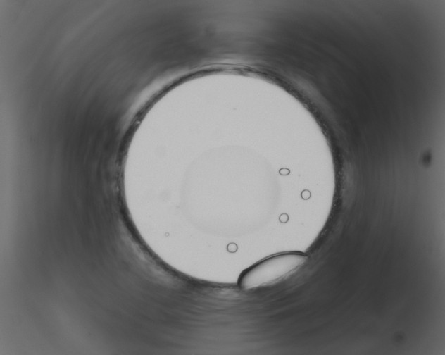 X0000115781412200912241801