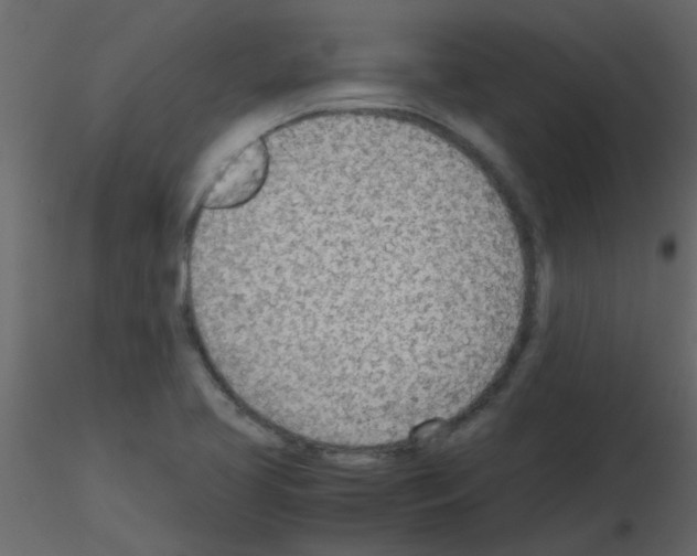 X0000115781413200912241801