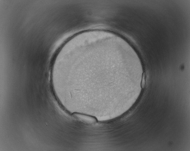 X0000115781414200912241801