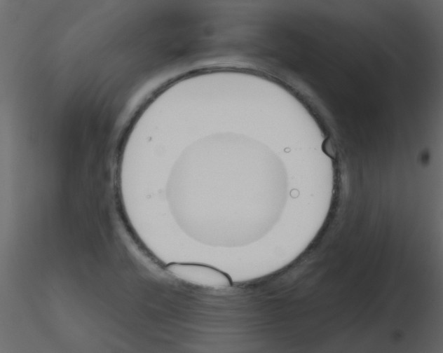 X0000115781416200912241801