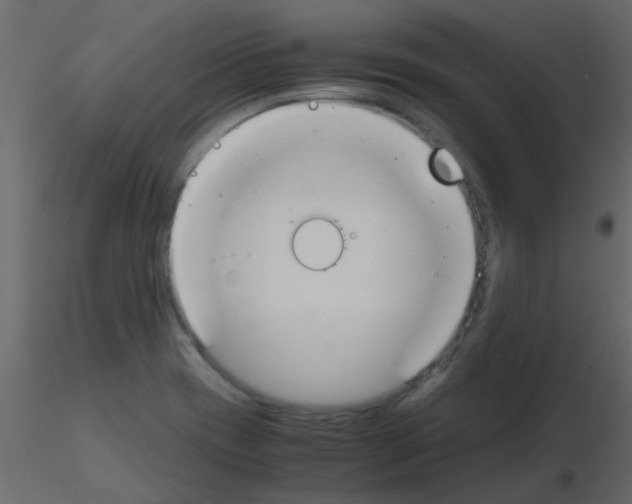 X0000115781417200912241801