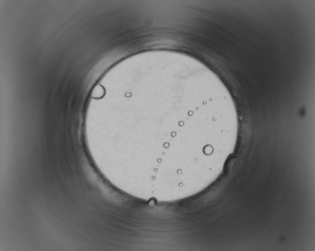 X0000115781418200912241801