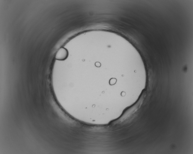 X0000115781422200912241801