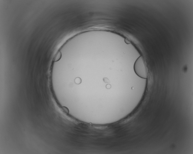 X0000115781423200912241801