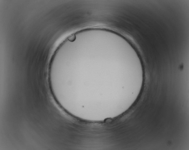 X0000115781424200912241801