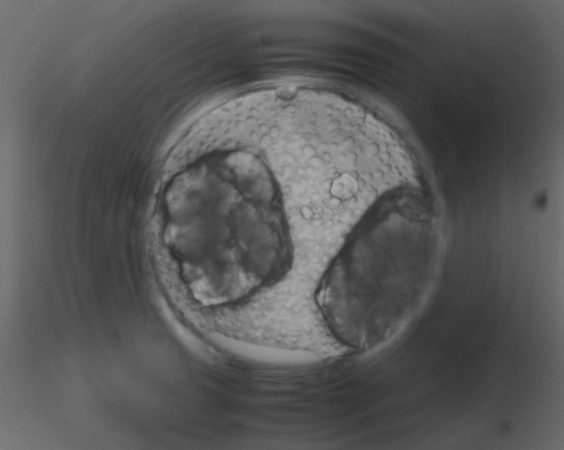 X0000115781425200912241801